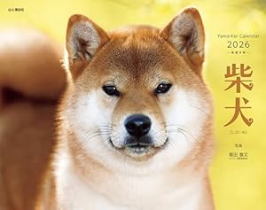 Amazon.co.jp: 知能が高過ぎる柴犬と柴犬が好き過ぎる少年ロボット